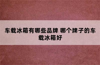 车载冰箱有哪些品牌 哪个牌子的车载冰箱好